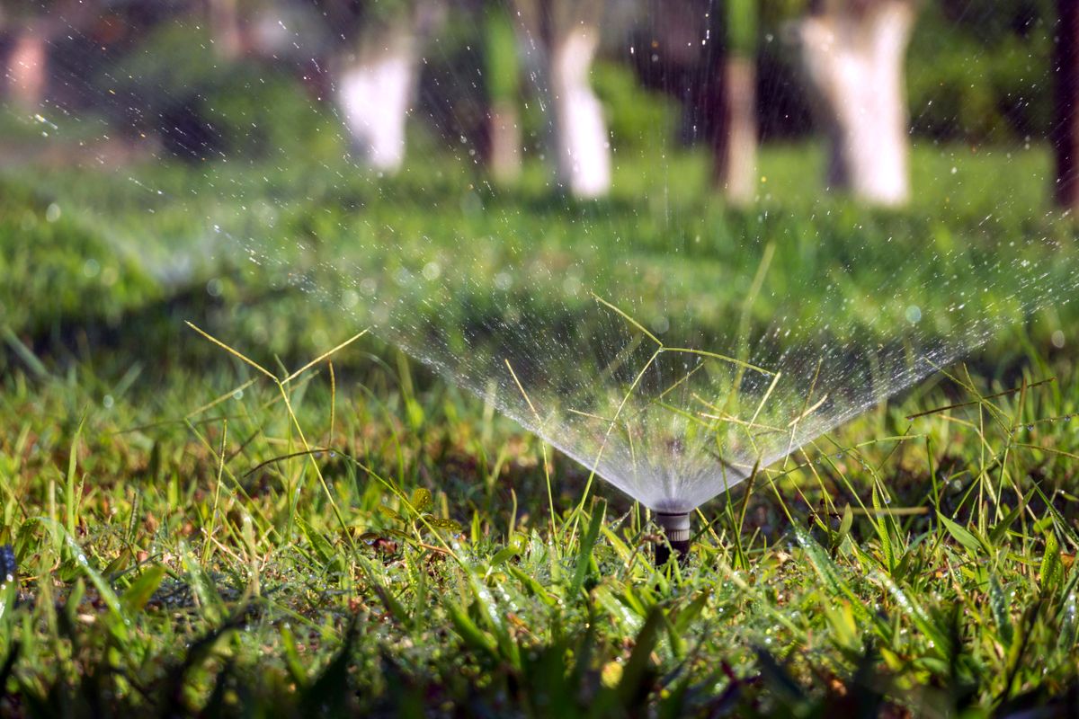 Lawn irrigation sprinkler head running in a green landscaped yard